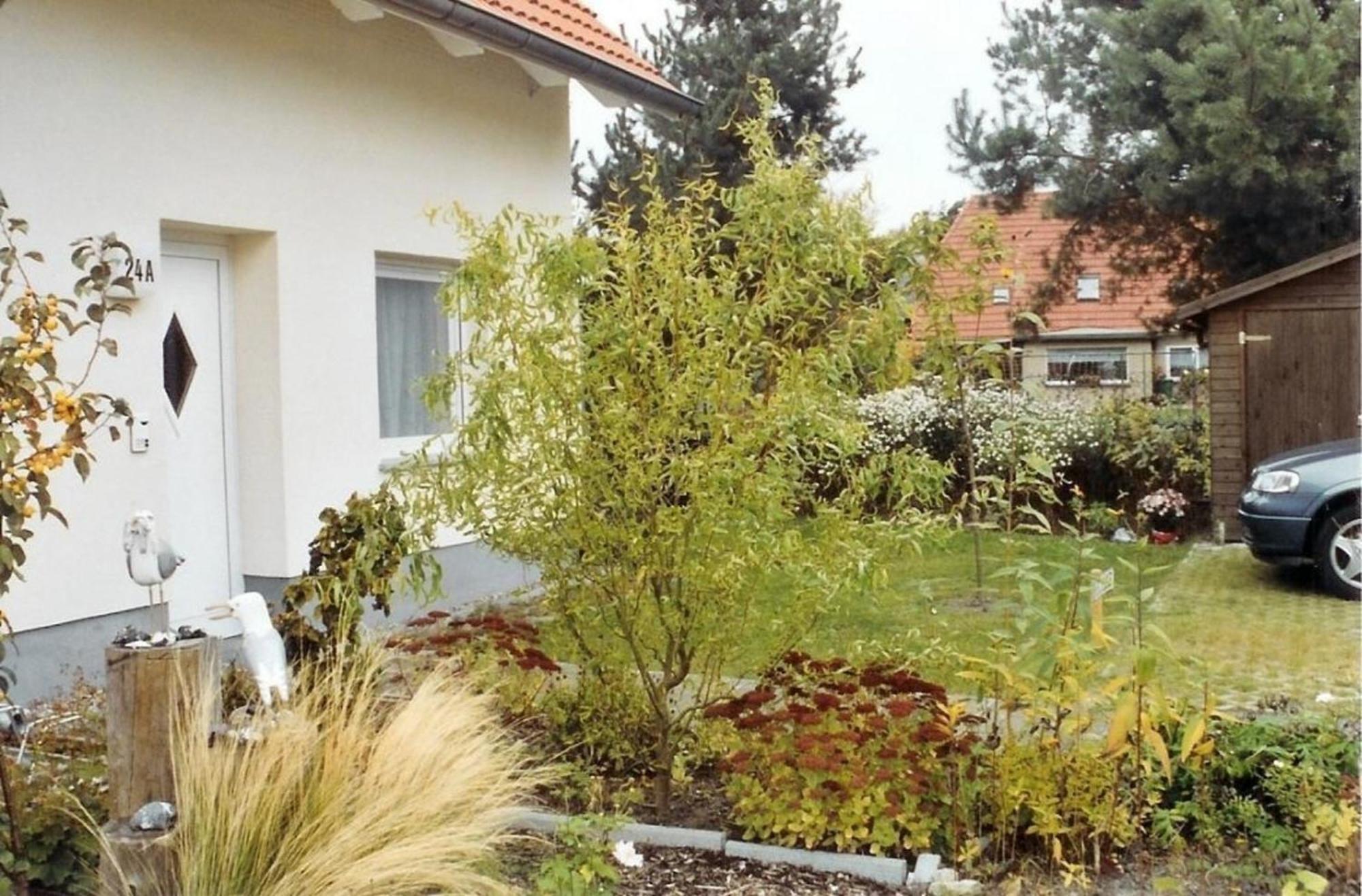 Ferienwohnung Möwe - a09392 Ostseeheilbad Ostseeheilbad Zingst Exterior foto
